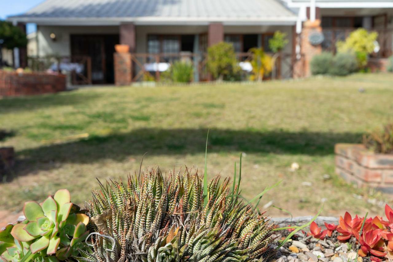 Guest House Arosfa Mossel Bay Exteriör bild